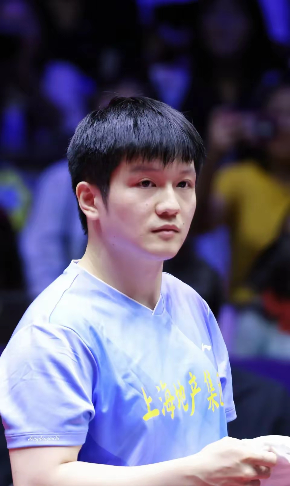 波兰队翻盘奥地利队，樊振东状态火热