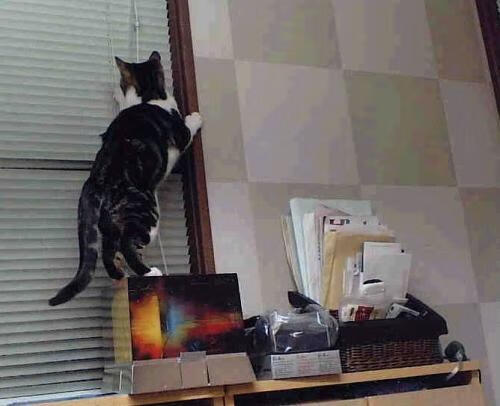 从1-2到3-2，当逆转基因刻入龙骨