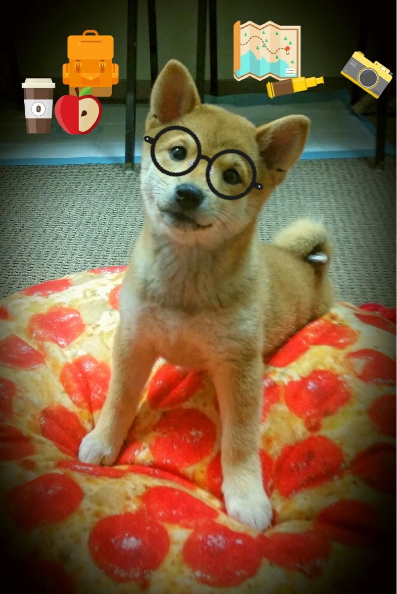 草地的独白,温网如何以沉默的力量完胜拉沃尔杯的喧嚣—兼论德约科维奇的火热状态