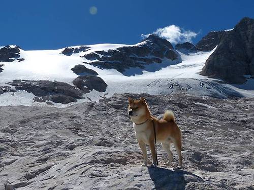 红刃破雾,阿隆索孤勇骑士如何率法拉利破局索伯铁壁