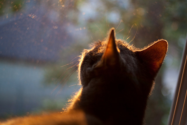 新王登基,孙兴慜导演马竞火力压制,伯纳乌之夜见证亚洲之光