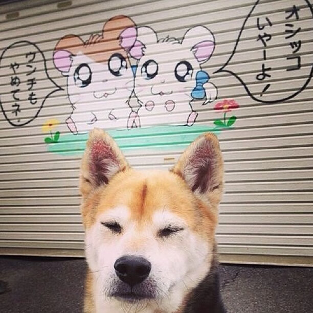 穹顶下的引力失重,当文班亚马在世界杯之夜显山露水