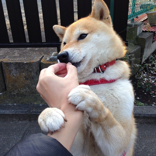 德国人的冷漠，赛道的温度，戈贝尔在F1街道赛之夜的最后选择