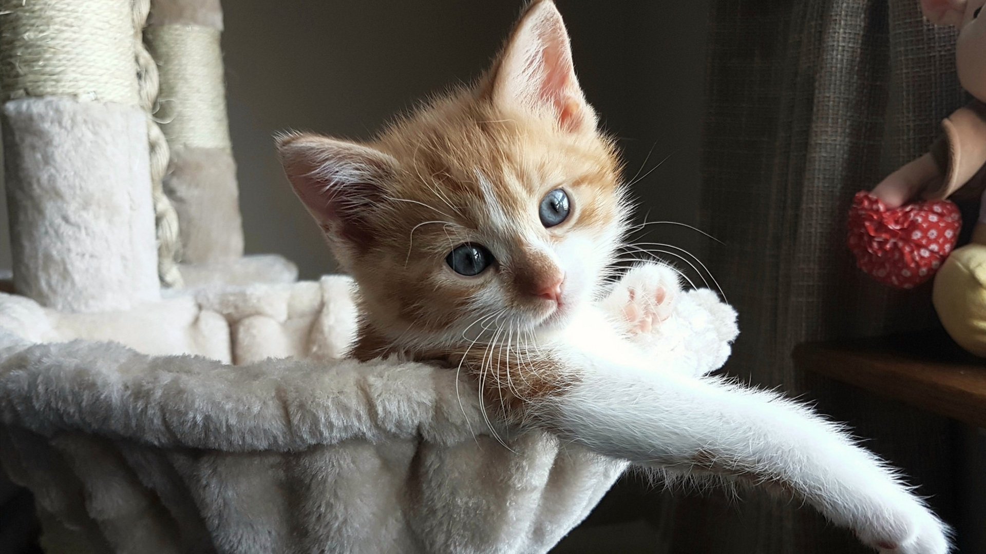 冰与火之歌，当奇才的严冬战术冻僵活塞，哈利伯顿的烈焰独舞点燃赛场