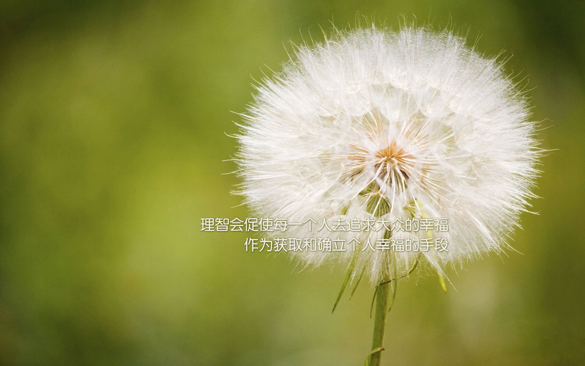 逆转之战，德意志战车碾过越南，孙兴慜独舞点燃世界杯头名之争