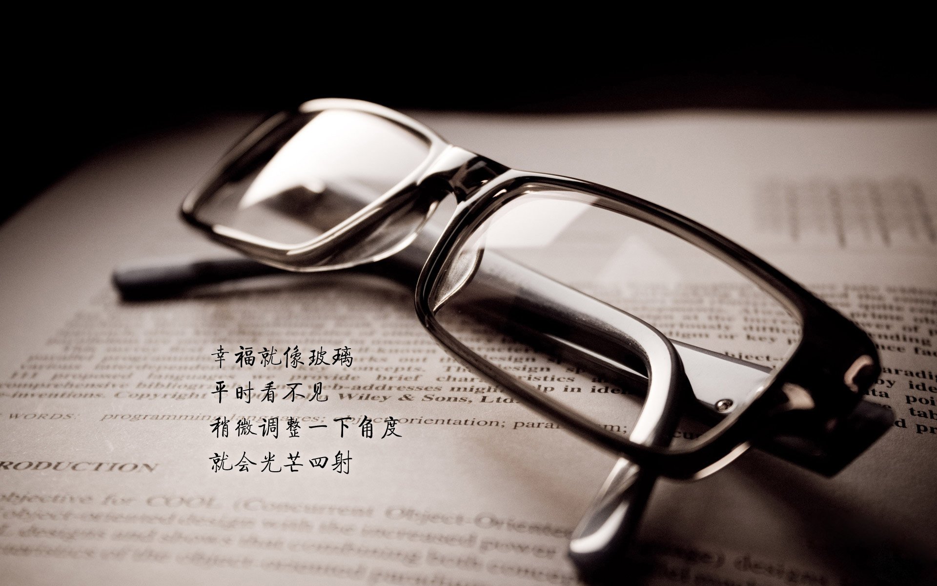 独木难支与众志成城，2026世界杯H组关键战，美国压制斯洛伐克的战术伏笔与卢卡库的孤独救赎