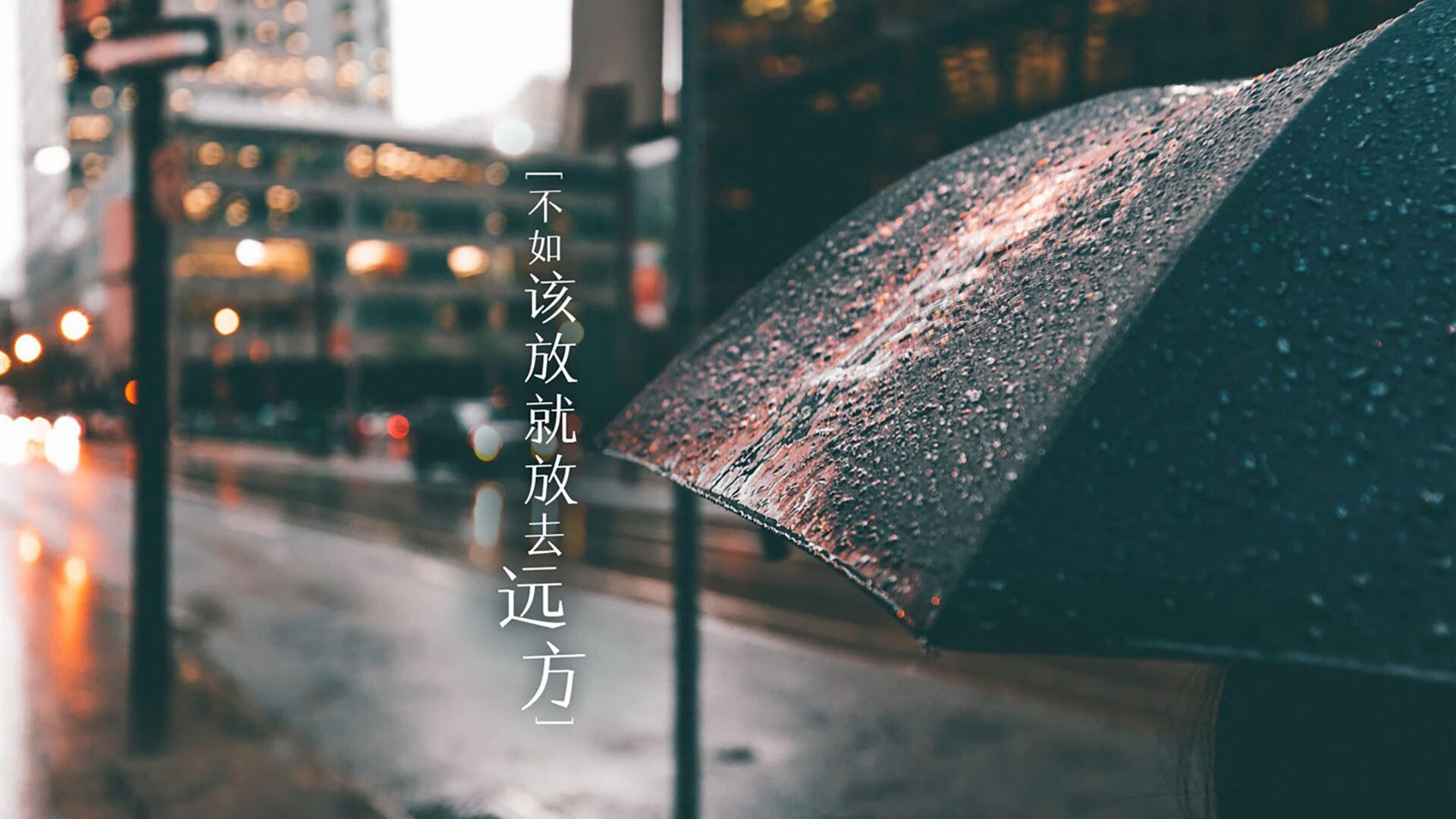 逆转之夜的唯一剧本,坎塞洛引领厄瓜多尔在2026世界杯D组生死战中击溃罗马尼亚