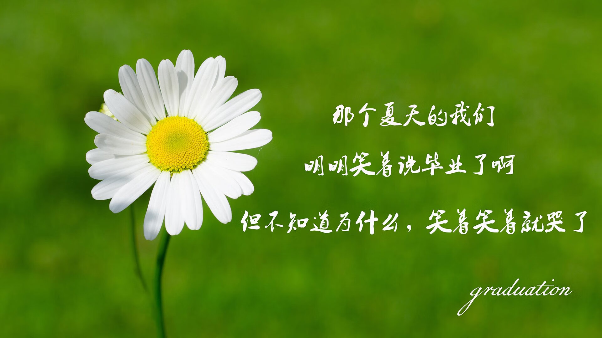 跌入深渊前，他亲手撕碎了剧本，哈兰德封神之夜，阿根廷用最残忍的方式完成救赎